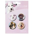 Placka set - Psi 2 - 4x38mm