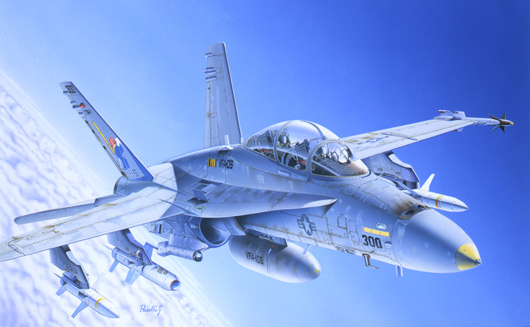 Model Kit letadlo 0016 - F/A-18C/D WILD WEASEL (1:72)