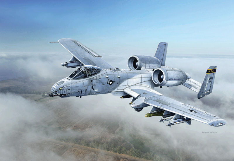Model Kit letadlo 2725 - A-10C "Blacksnakes" (1:48)