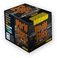 PANINI WORLD CLASS 2024 - samolepky - BOX (36 ks)
